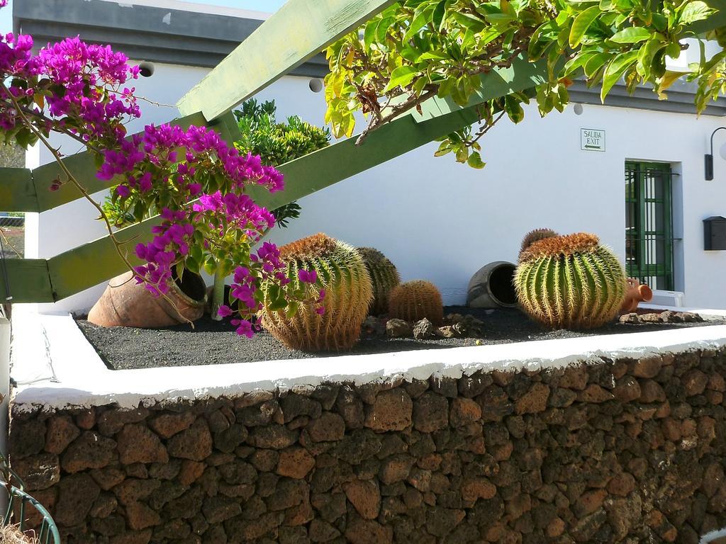 Apartamentos Guacimeta Matagorda (Almeria) Exterior foto