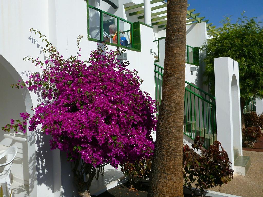 Apartamentos Guacimeta Matagorda (Almeria) Exterior foto